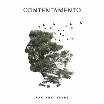 Contentamento by Fabiano Alves