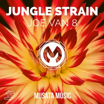 Jungle strain by Joe Van 8