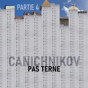 Pas terne, Pt.4 by Canichnikov