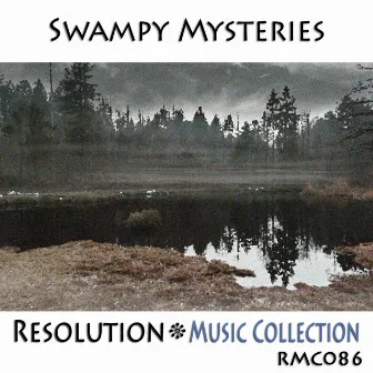 Swampy Mysteries by Ryan Rapsys