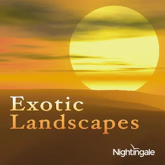 Exotic Landscapes: World Beats from Africa to Asia by Donald Quan