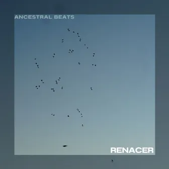 Renacer by Ancestral Beats