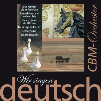 Wir singen deutsch - Jetzt kommen die lustigen Tage by CBM-Orchester