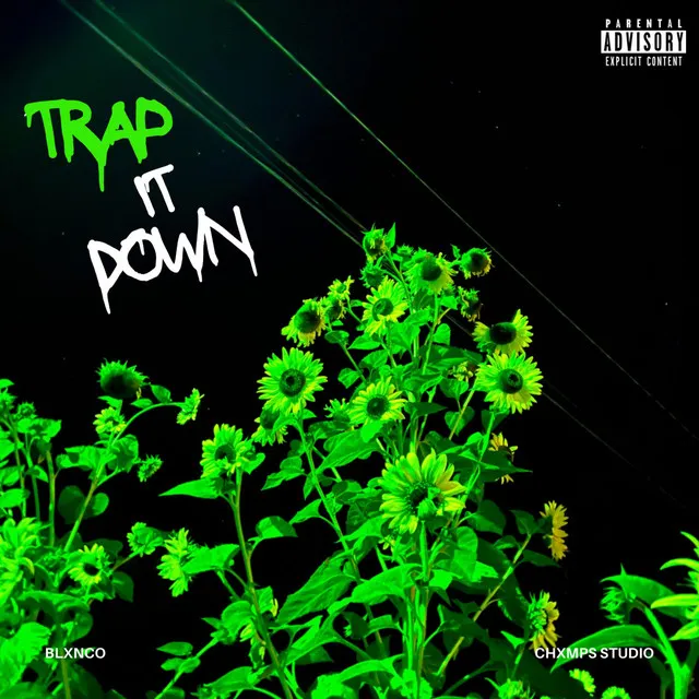 TRAP IT DOWN