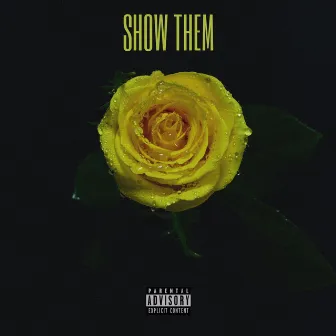 Show Them by Tall Cheezy