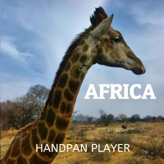 Africa by Handpan Player