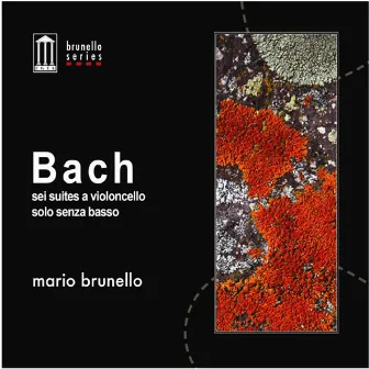 Bach sei suites a violoncello solo senza basso by Mario Brunello