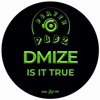 Is It True by DMIZE