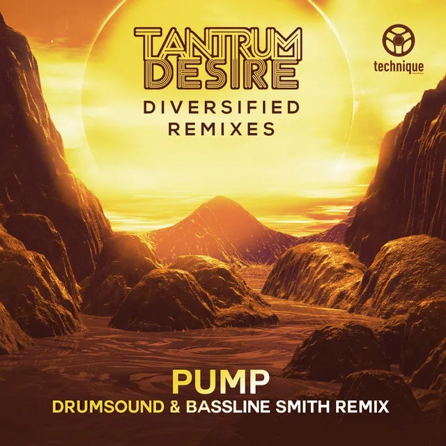 Pump - Drumsound & Bassline Smith Remix