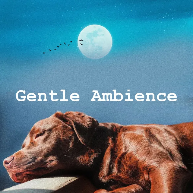 Gentle Ambience