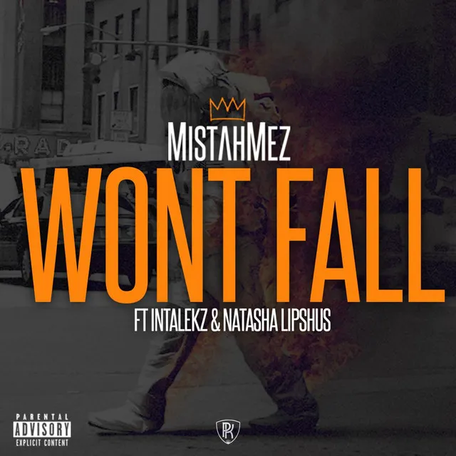 Won't Fall (feat. Intalekz & Natasha Lipshus)