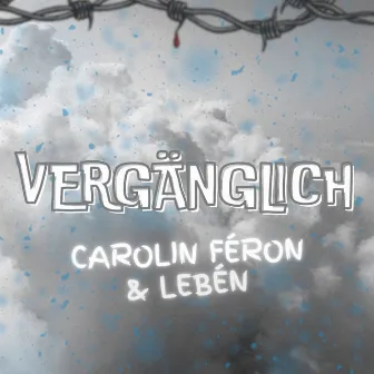 Vergänglich by Carolin Féron