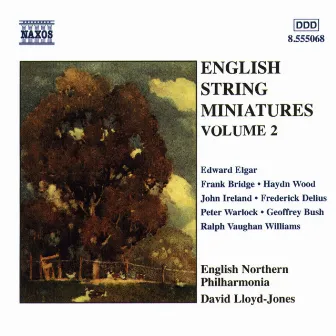 English String Miniatures, Vol. 2 by English Northern Philharmonia