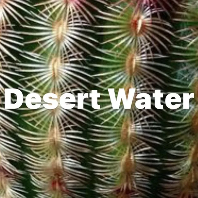 Desert Water