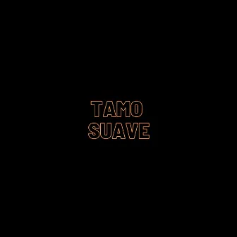 Tamo Suave (Remix) by Mc ThZl