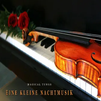 Eine Kleine Nachtmusik 1st Movement (Viola Version) by Arun Kumar