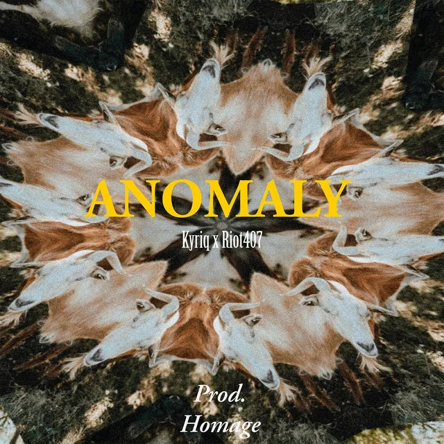 Anomaly