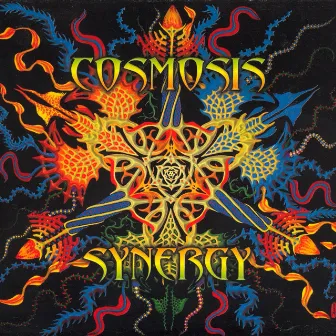 Synergy by Cosmosis