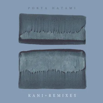 Kani + Remixes by Porya Hatami