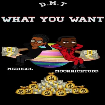 What U Want by Dmt