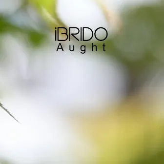 Aught by Ibrido