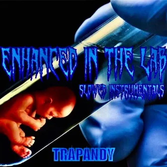 ENHANCED in the Lab (Slowed Instrumentals) by Trapandy