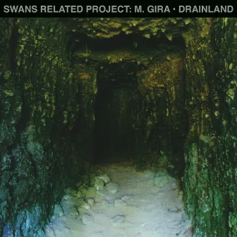 Drainland by Michael Gira