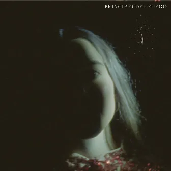 Principio del Fuego by Fuensanta