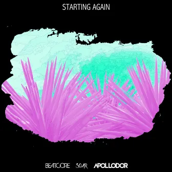 Starting Again by Ashley Apollodor