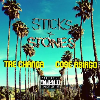 Sticks and Stones by Trechanga