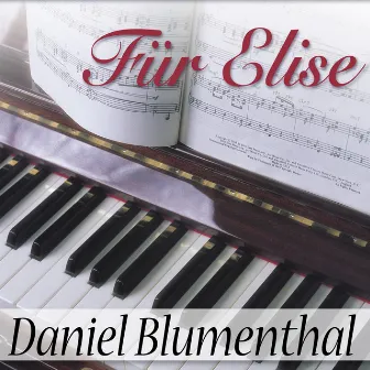 Daniel Blumenthal - Für Elise by Daniel Blumenthal