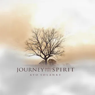 Journey into the Spirit by Ayo Solanke