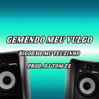 Gemendo Meu Vulgo by Dj Tom Zs