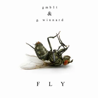 FLY by G. Winnard