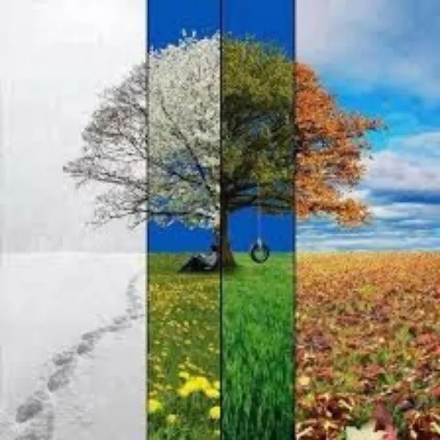 Four Seasons