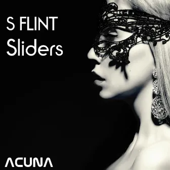 Sliders by S Flint