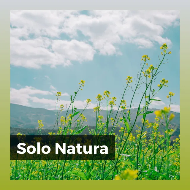 Solo Natura