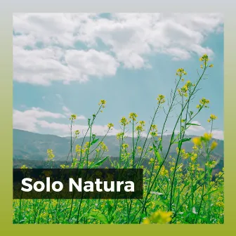 Solo Natura by Zona pura di suoni naturali