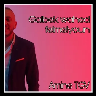 Galbek Wahed Felmelyoun by Amine TGV