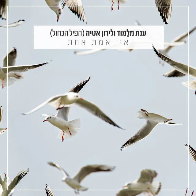 אין אמת אחת