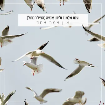 אין אמת אחת by Anat Malamud