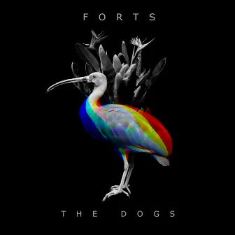 The Dogs by Forts