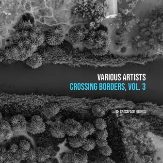 Crossing Borders, Vol. 3 by Bitoku