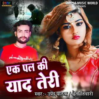 Ek Pal Ki Yaad Teri by Unknown Artist