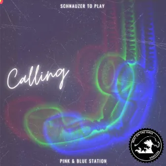 Calling by Schnauzer To Play