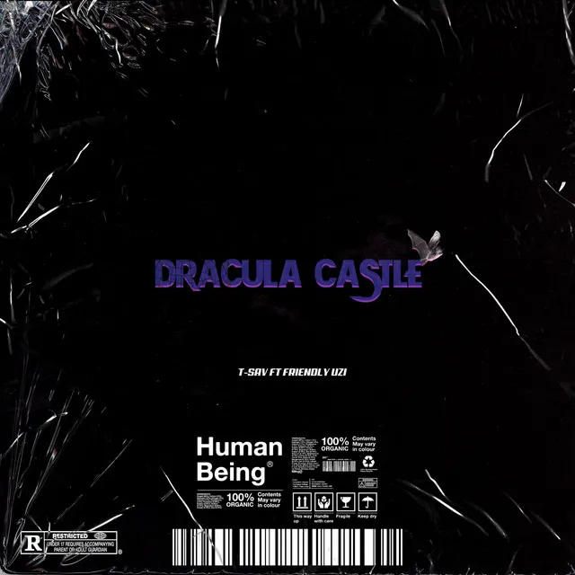 Dracula Castle - قصر دراكولا