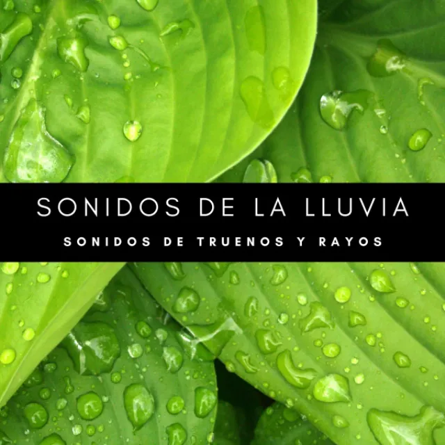 Compañía De Lluvia