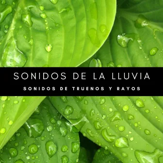 Sonidos De La Lluvia: Sonidos De Truenos y Rayos by Tiempo de relajación natural