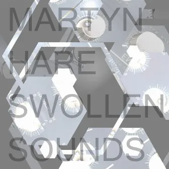 Swollen Sounds by Martyn Hare