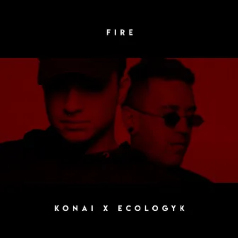 Fire by Ecologyk